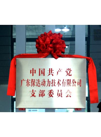 熱烈祝賀保達動(dòng)力正式成立黨支部