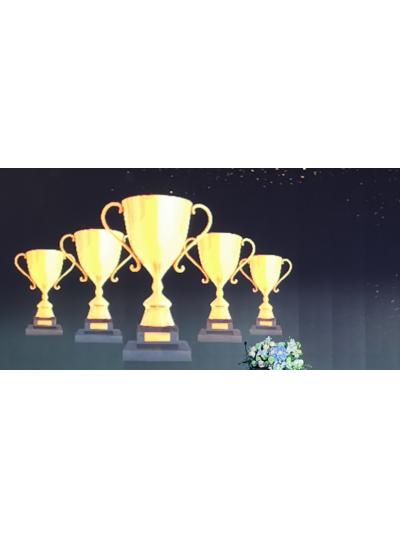 熱烈慶祝保達動(dòng)力在重慶康明斯2021電力市場(chǎng)會(huì )議上獲獎