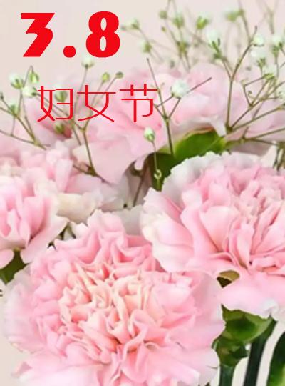 三八女神節快樂(lè )