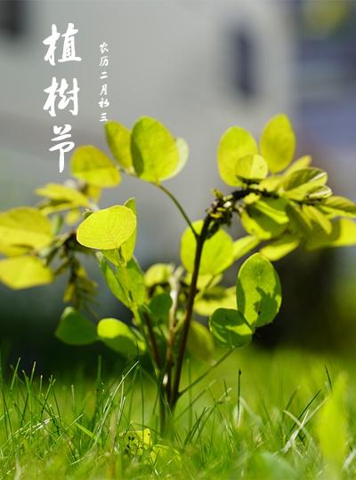 共筑綠色園區，我們在行動(dòng)！ 公司植樹(shù)節活動(dòng)